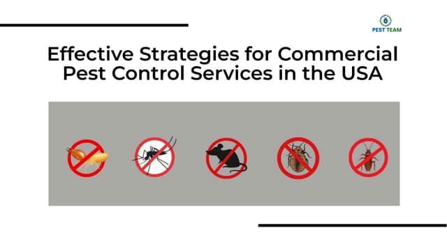 effective strategies for commercial pest control.pdf