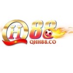 QH88 co Profile Picture