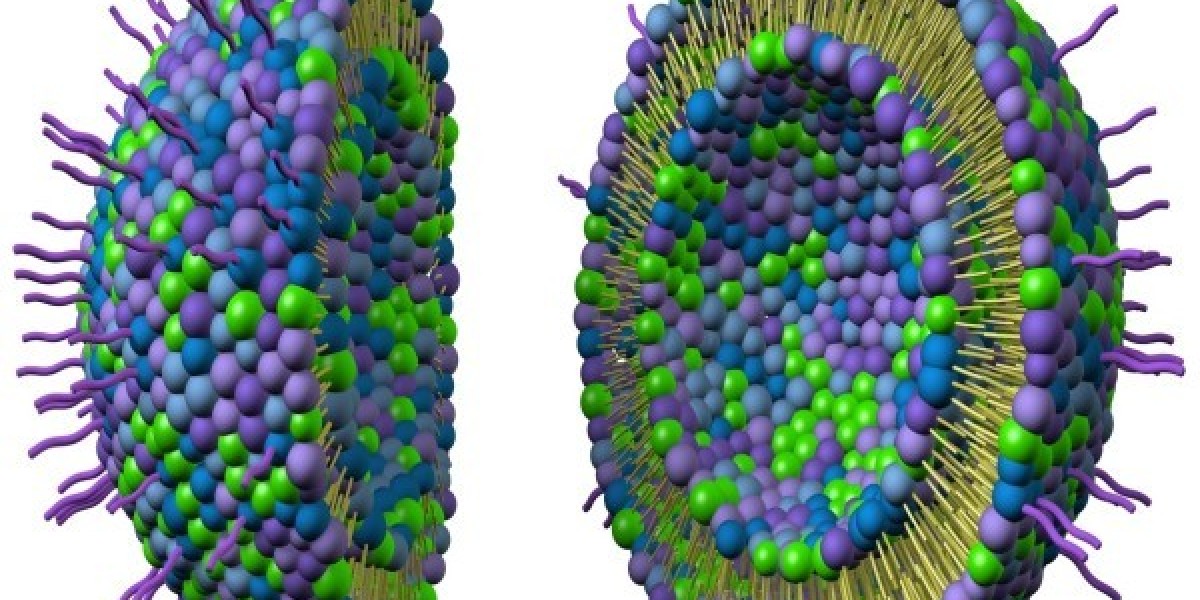 Liposome Drug Delivery Market is Estimated to Witness High Growth Owing to Advancements