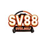 SV 88 Profile Picture