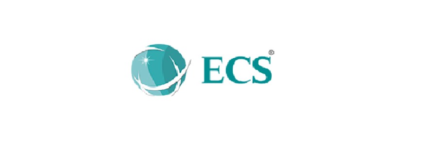 ECS Infotech Cover Image