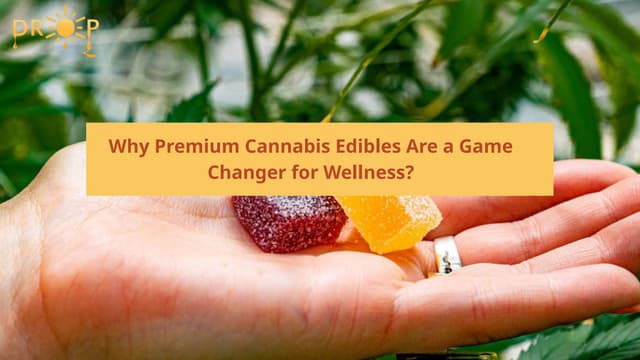 Why Premium Cannabis Edibles Are a Game Changer for Wellness? | PPT