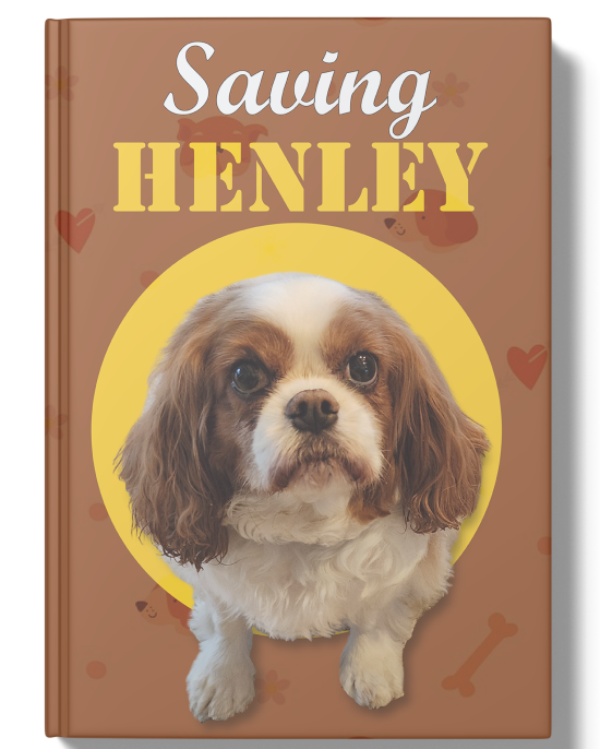 Explore the Heartwarming Story of | Saving Henley