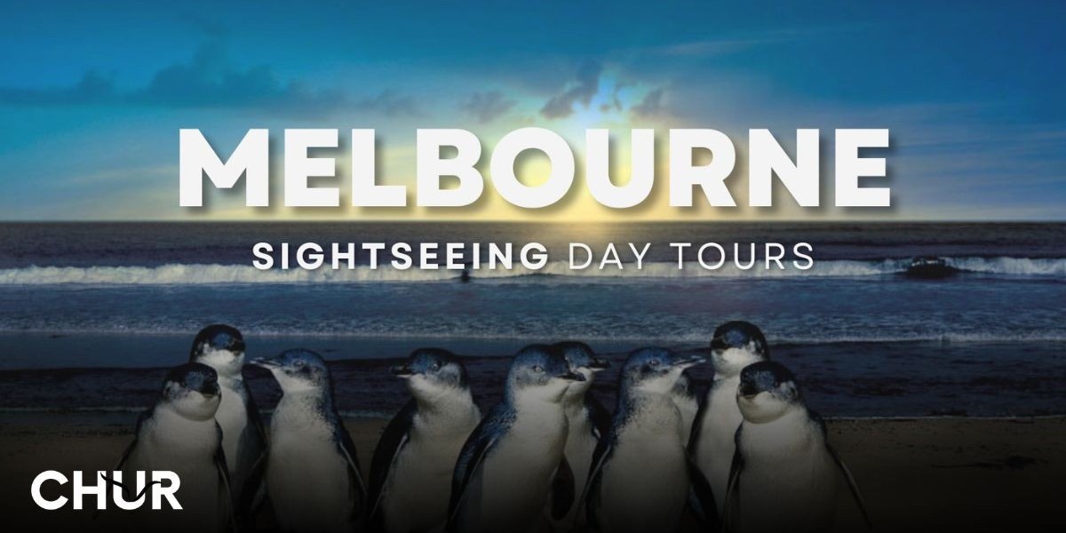 Explore the Best Day Tours from Melbourne