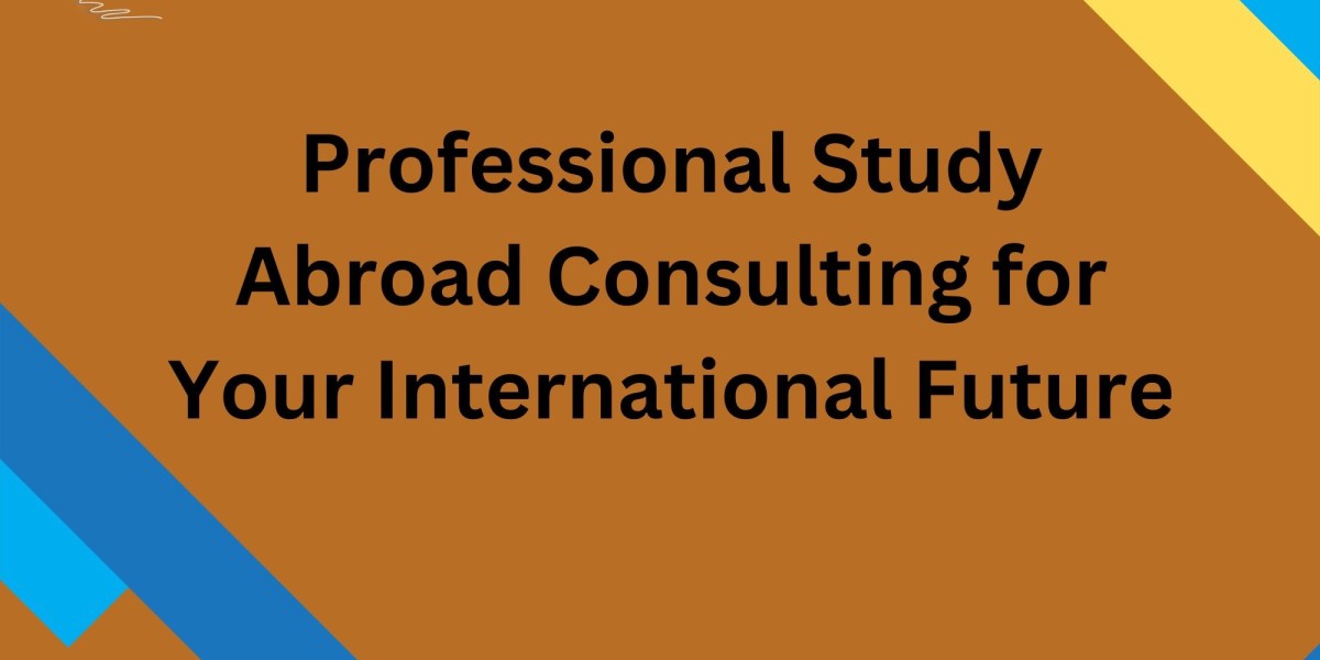 Professional Study Abroad Consulting for Your International Future