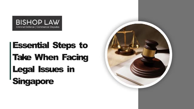 Essential Steps to Take When Facing Legal Issues in Singapore | PPT | Free Download