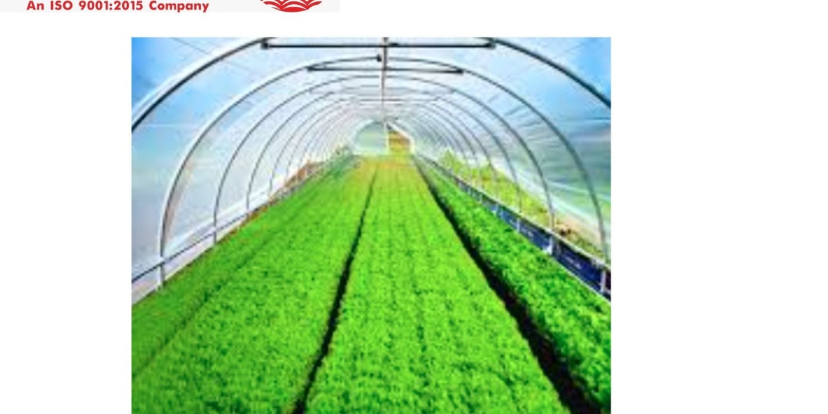 The Role of Greenhouse Plastic in Modern Agriculture