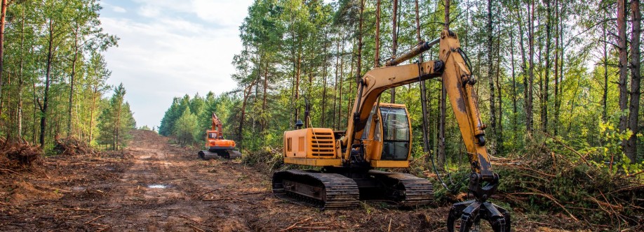 South Carolina Land Clearing Cover Image