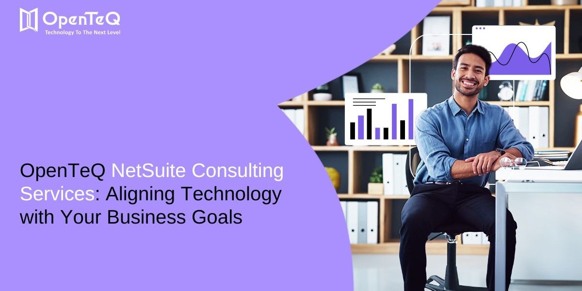 OpenTeQ NetSuite Consulting Services: Aligning Technology with Your Business Goals