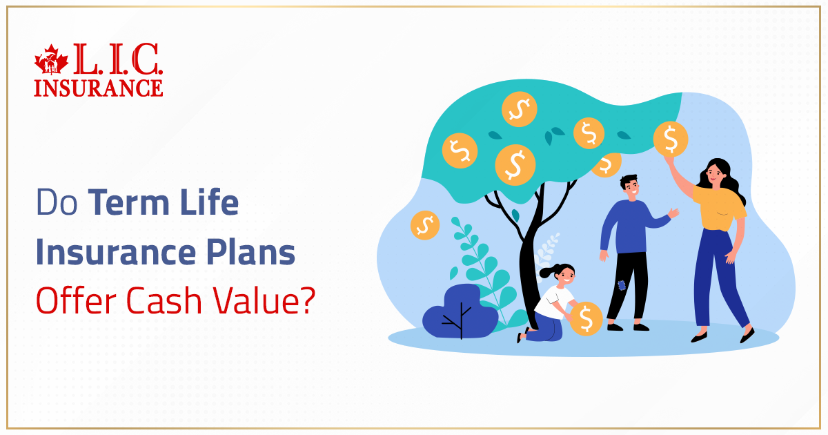 Do Term Life Insurance Plans Offer Cash Value? | Canadian LIC