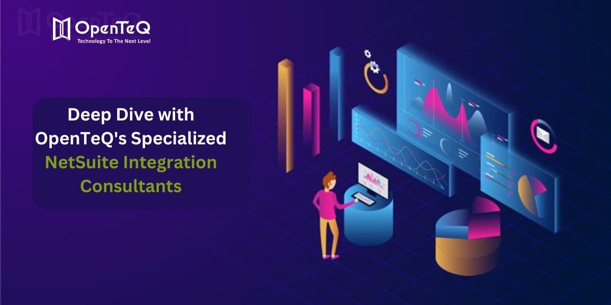 Deep Dive with OpenTeQ's Specialized NetSuite Integration Consultants