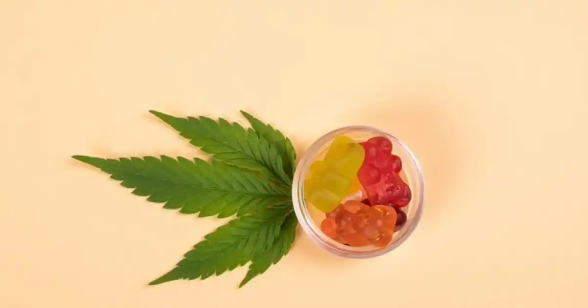 The Ultimate Guide to THC CBD Gummies for Pain Relief: Benefits, Usage, and Everything You Need to Know