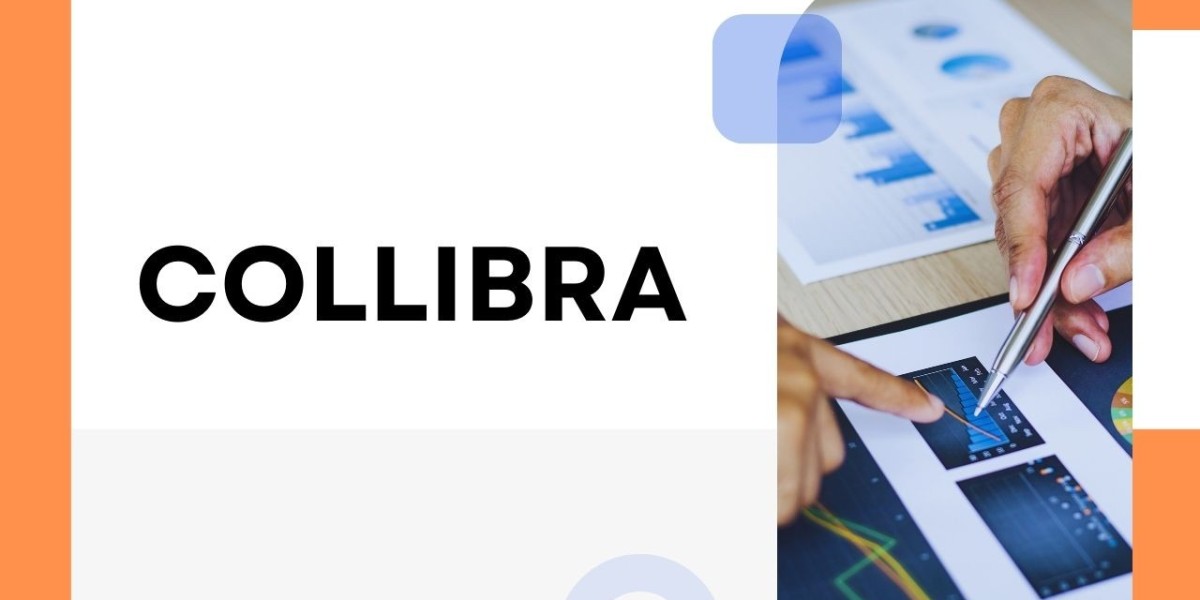 Collibra: Empowering Businesses with Data Governance and Data Management