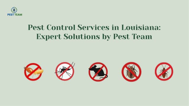 Pest Control Services in Louisiana by Pest Team.pdf | Free Download