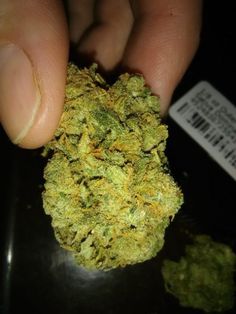 Buy Khalifa Kush online