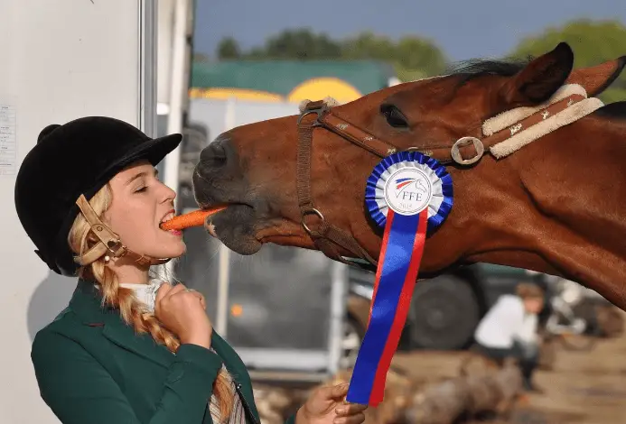 Can Horses Have Celery: Nutritional Delight - Equestrian Blogging