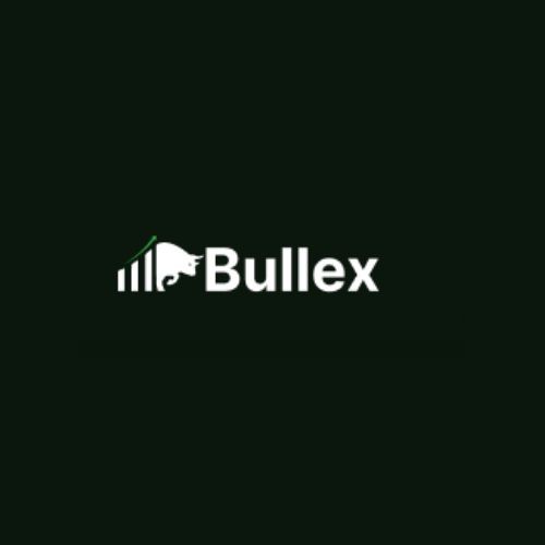 Bull EX Profile Picture