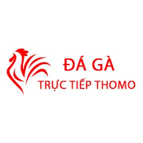 Đá Gà Trực Tiếp Thomo Hôm Nay Profile Picture