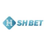 Shbet org Profile Picture