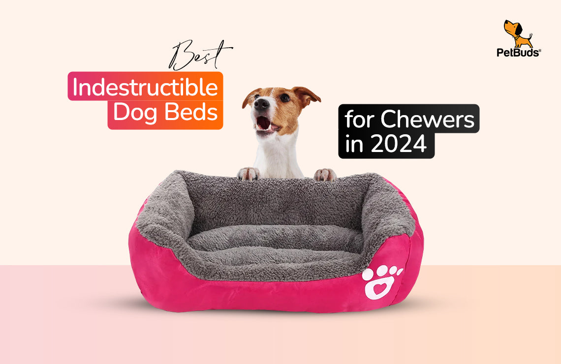 You Must Invest in These Indestructible Dog Beds For Chewers in 2024!  – PetBuds