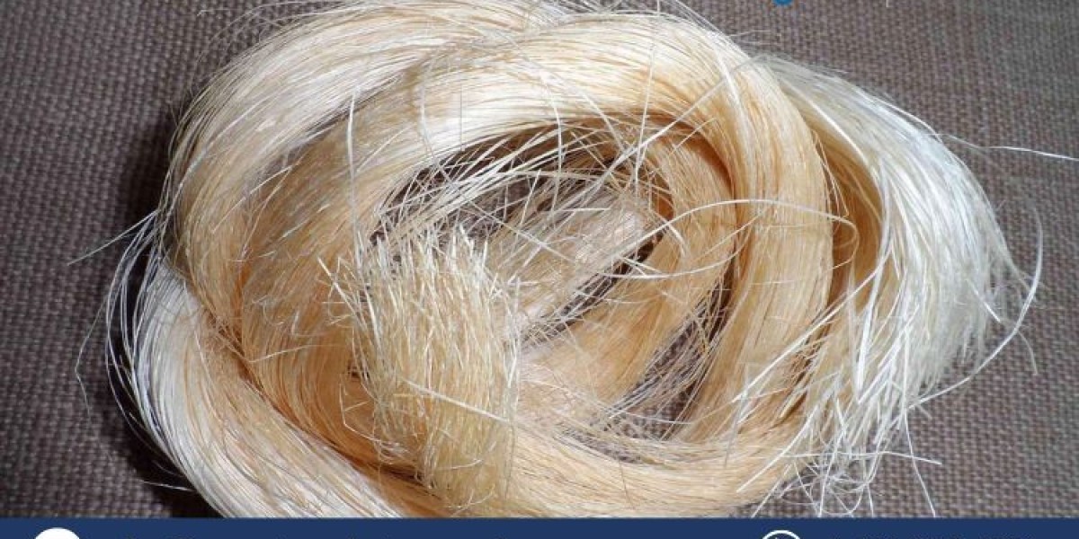 Understanding the Abaca Fibre Market: Trends, Insights, and Forecast (2024-2032)