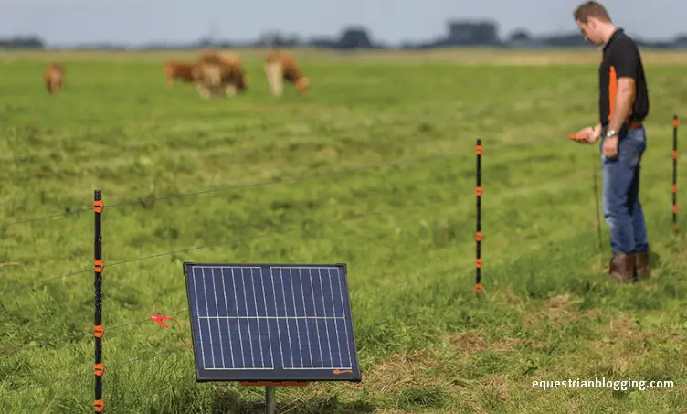 Solar Power Electric Fence: Ultimate Guide for Success - Equestrian Blogging