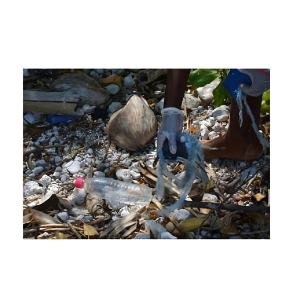 Know The Top Reasons Why Plastic Waste Management Is Important — QM Recycled Energy - Buymeacoffee