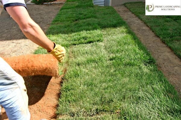 Why do you need landscaping services for your home?