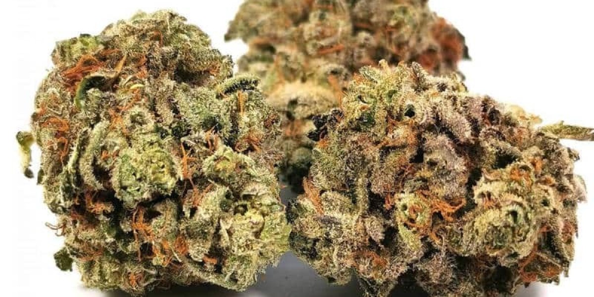 Why Is the Cherry Cookies Strain So Delicious?