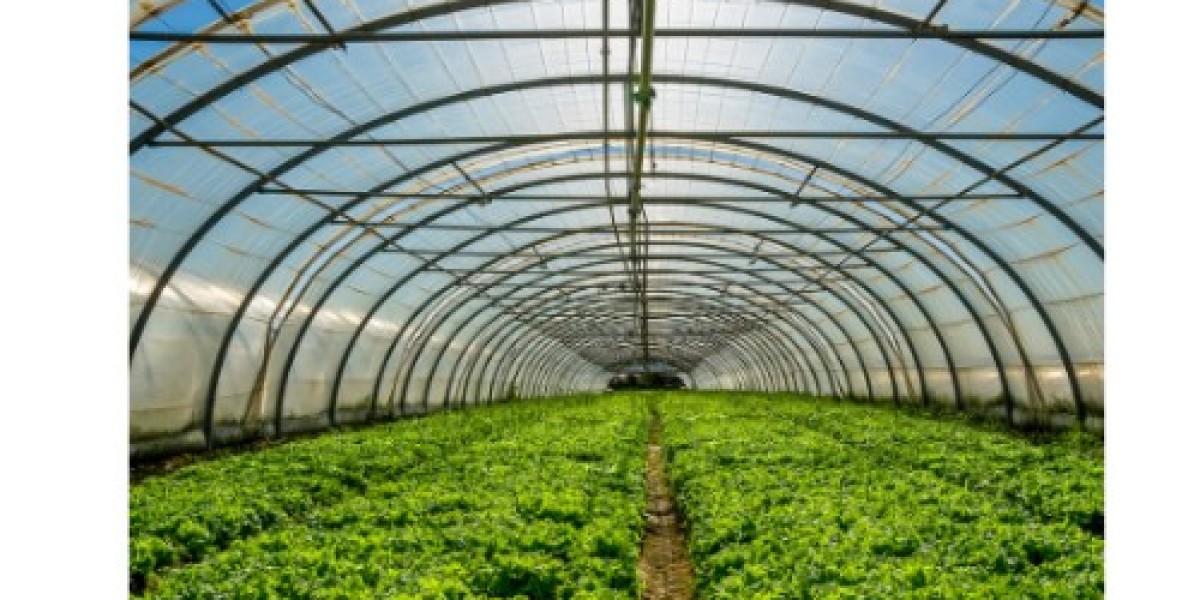 Greenhouse Film: Enhancing Crop Growth and Protection