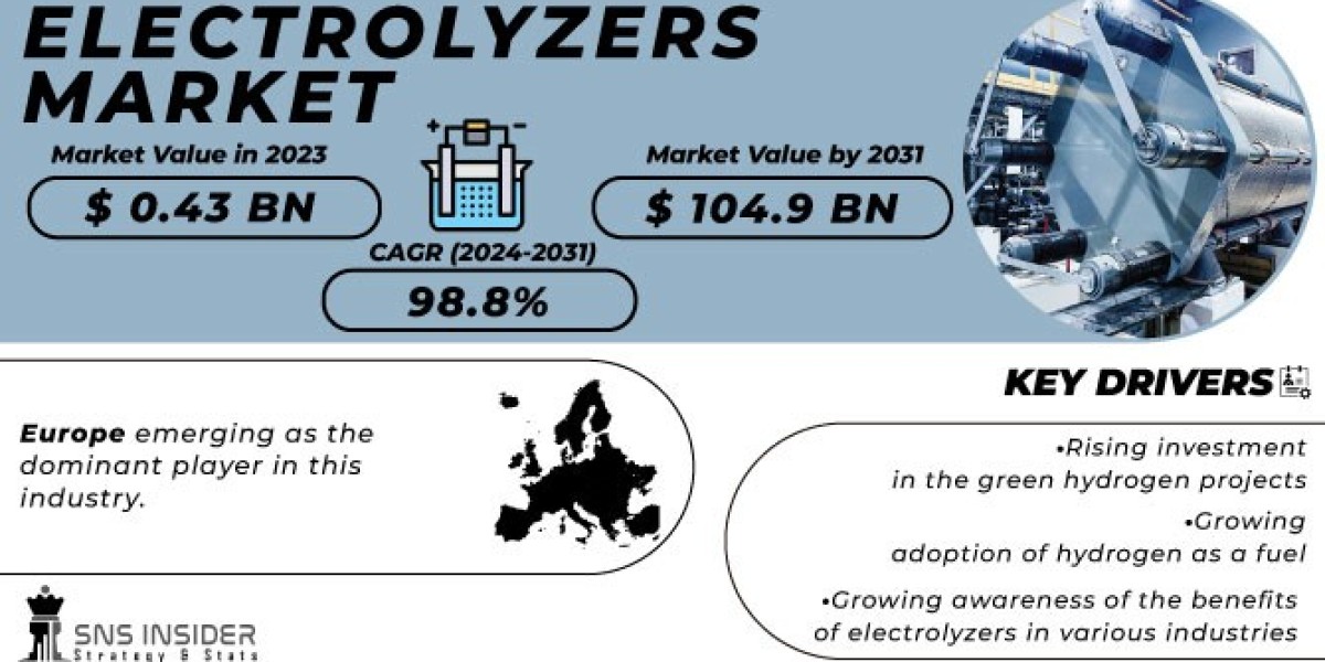 Electrolyzers Market: Impact of Policy Support and Investment on Market Growth