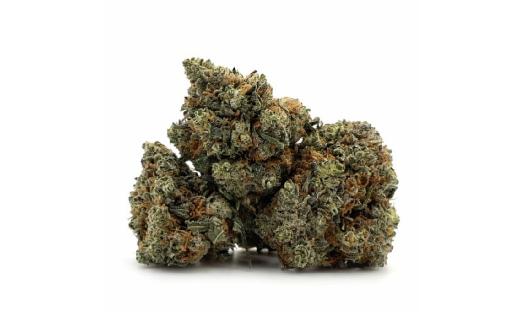 Platinum OG Strain Deserves a Spot on Your Strains to Try List