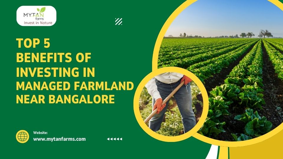 Investing in Managed Farmland Near Bangalore: Top 5 Benefits