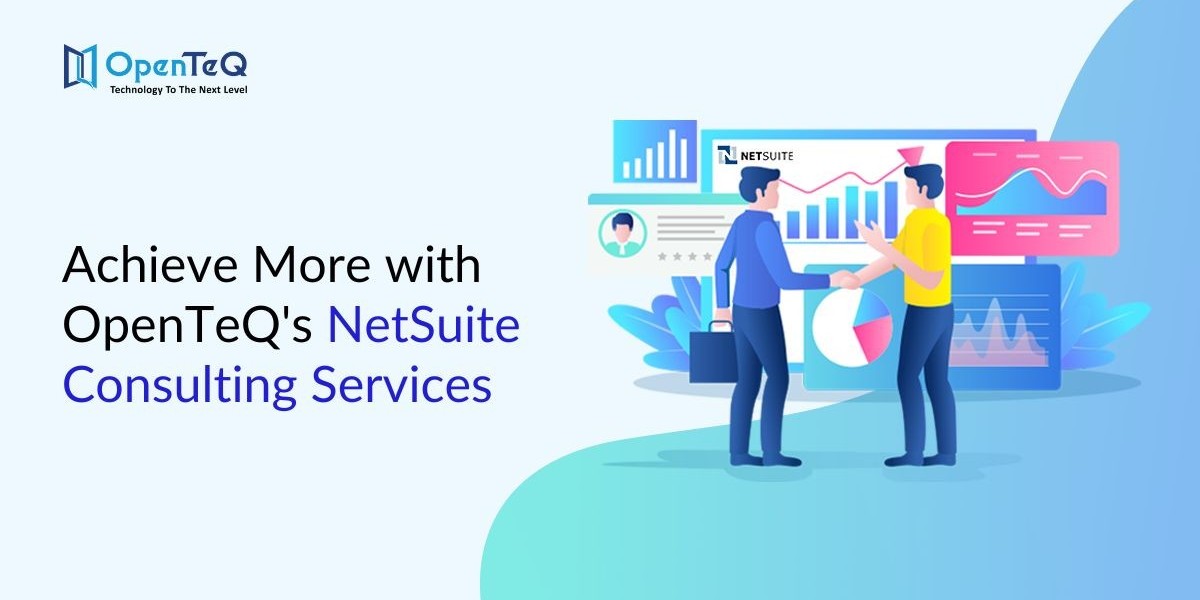 Achieve More with OpenTeQ's NetSuite Consulting Services