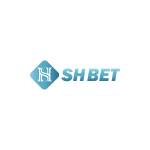 shbet ho Profile Picture