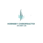 Hornsby Chiropractor Dr Andy Lee Profile Picture