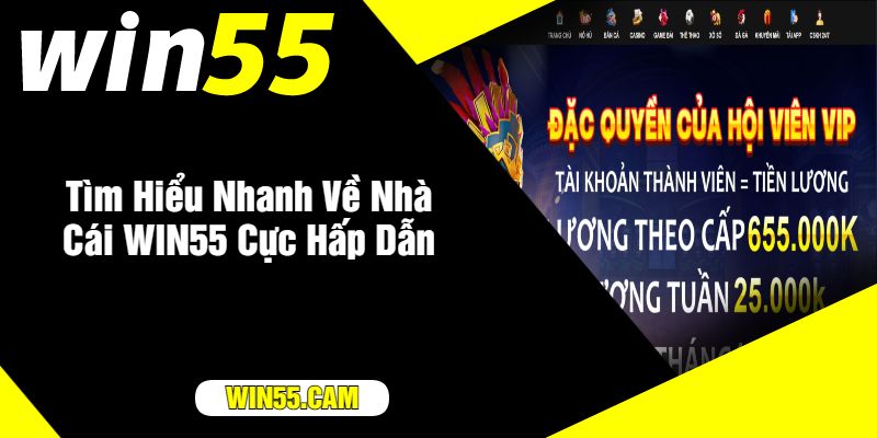 WIN55 – Nơi Cung Cấp Dịch Vụ Cá Cược Chất Lượng