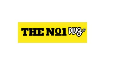 theno1 plug Profile Picture