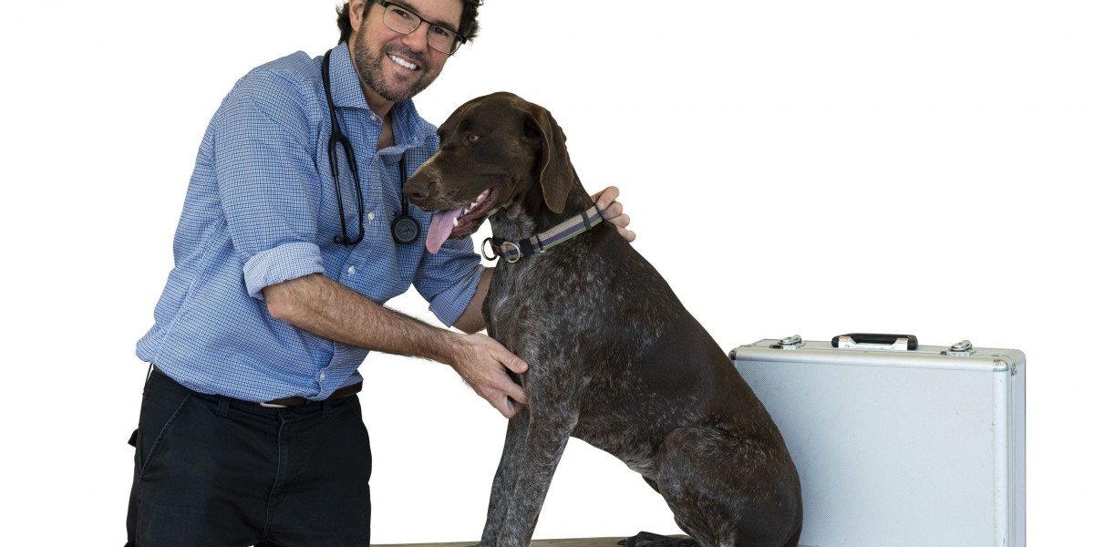 Dr. G Mobile Vet: Your Trusted Source for In-Home Veterinary Nutrition Consulting and More