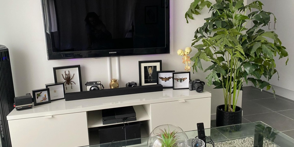 Transform Your Home with Fake Plants in Sydney