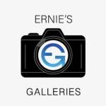 Ernies Galleries Profile Picture