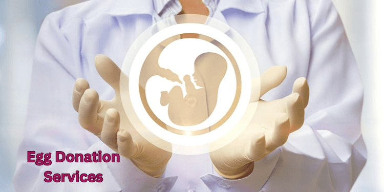 Get Prepared for Egg Donation Services