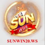 sunwin20 ws profile picture