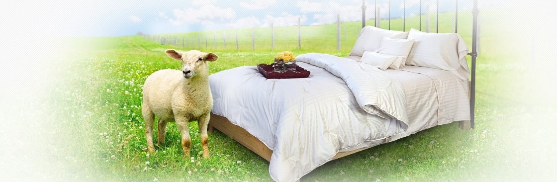 Woolbed Company Cover Image