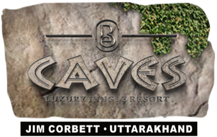 Best 5 Star Resort in Jim Corbett | Luxury Resort in Jim Corbett | BELLMONT CAVES (Formerly known as Brys Caves)