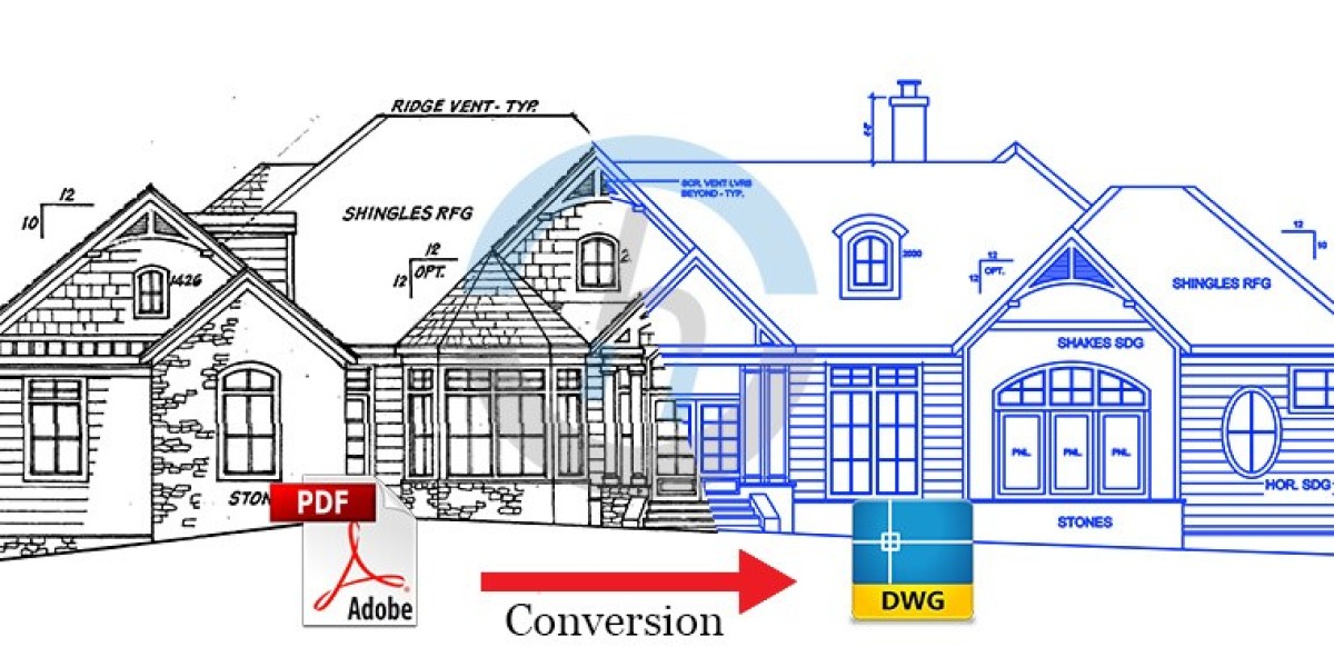 Why You Need an Expert for PDF to CAD Conversion for Your Project