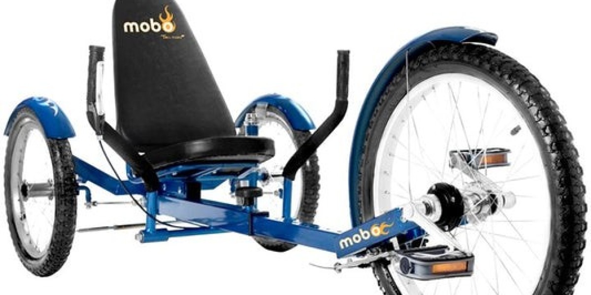 Adult Recumbent Tricycles: Comfort Meets Functionality