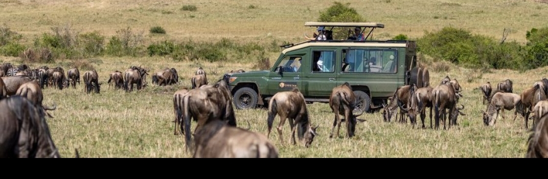 Cheetah Safaris Cover Image