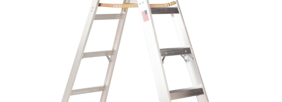 Bauer Ladder Cover Image