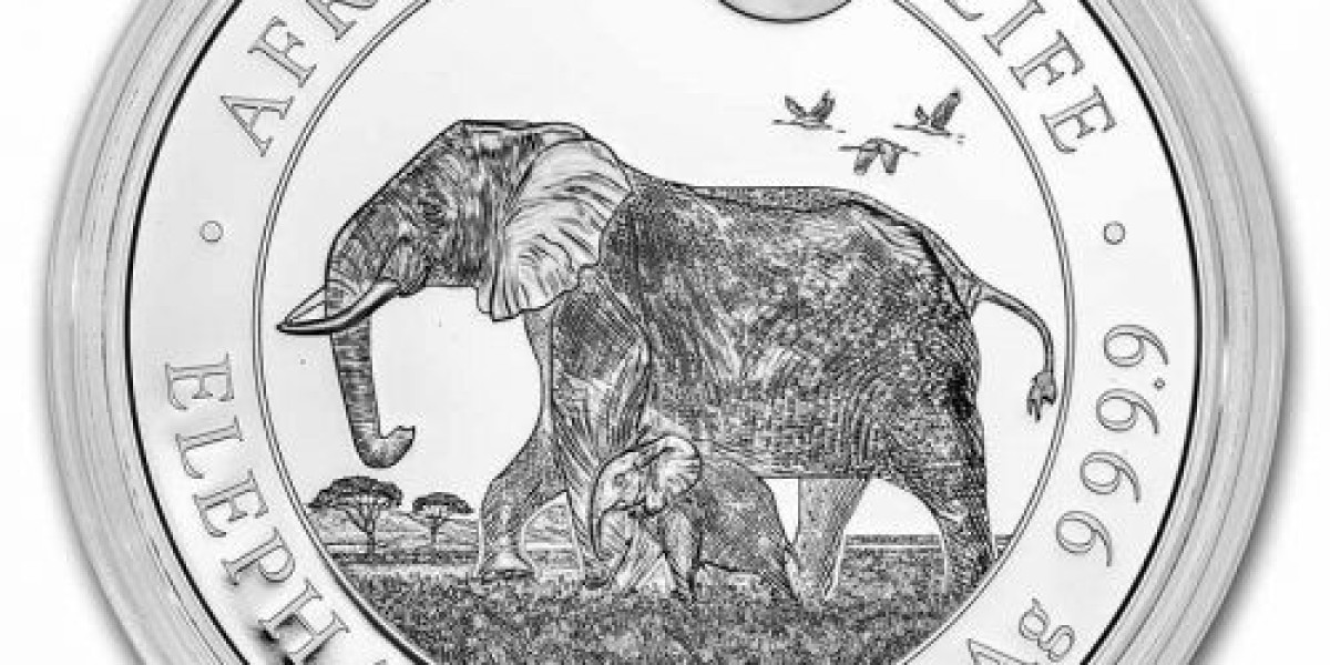 The Coin Shoppe: Turning Coin Collecting into an Art